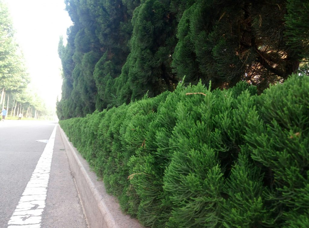 今天开始发布自己的博客