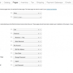 获取WooCommerce后台中设置选项的页面 URL